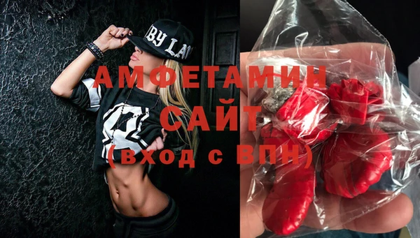 ECSTASY Алзамай