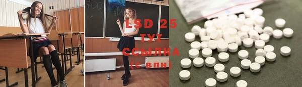 ECSTASY Алзамай