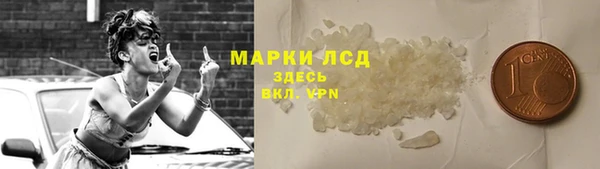 ECSTASY Алзамай