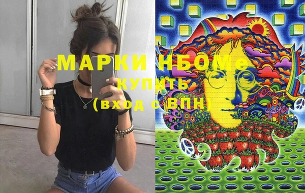 твердый Медногорск