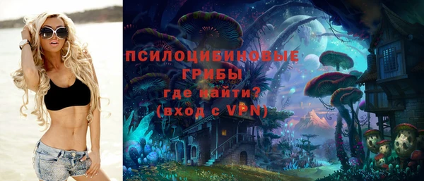 спайс Чекалин