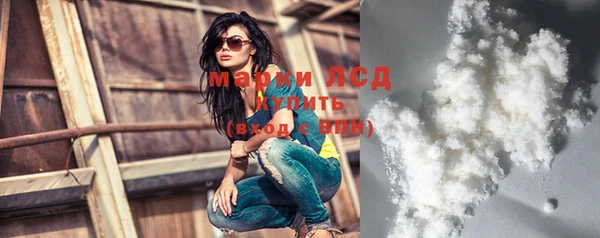 ECSTASY Алзамай
